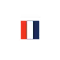 Tampa - Flag
