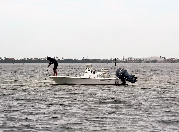 Shallow water fishing in the Bay