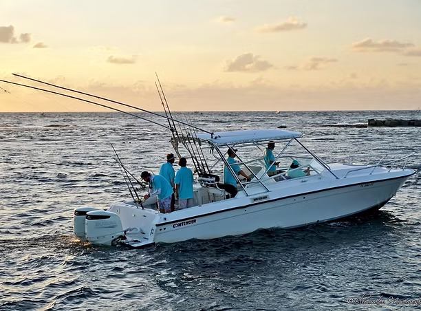  Guided Offshore Excursions