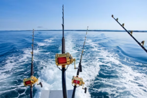 Fishing Tournaments in Palm Beach County